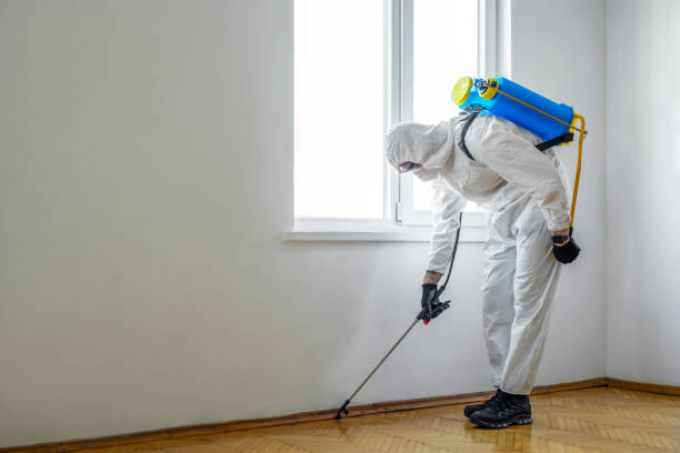 Best Wasp Removal Services  in Deschutes River Woods, OR