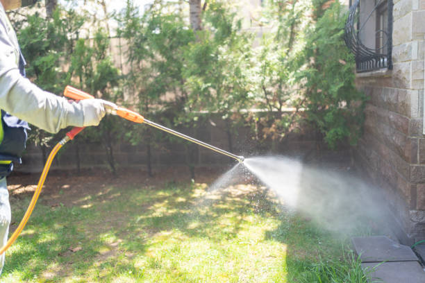 Best Termite Control Services  in Deschutes River Woods, OR